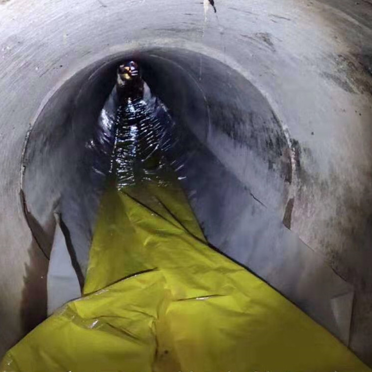 鹤庆管道光固化修复